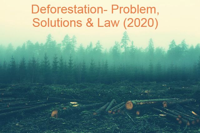 Deforestation- Problem, Solutions & Law (2020)